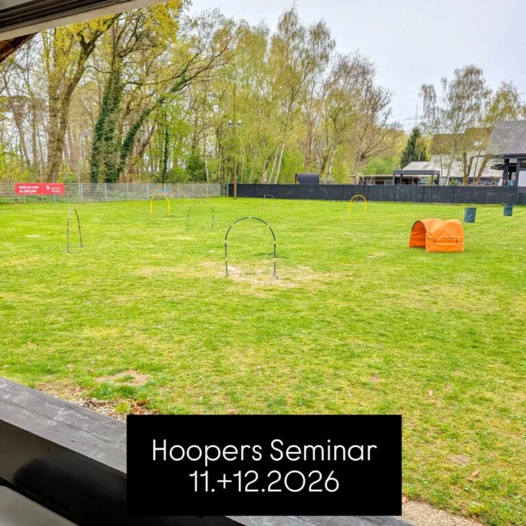 Hoopers Seminar