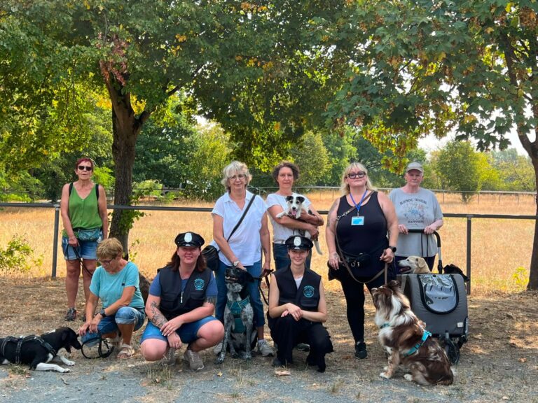 Krimiwanderung 16.08.2026