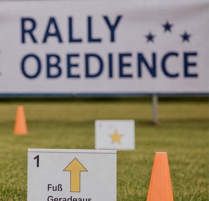 Rally Obedience Seminar mit Jonas Stübing